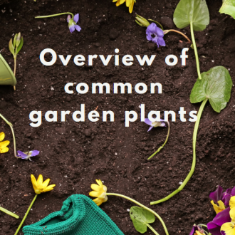 Common Garden Plants