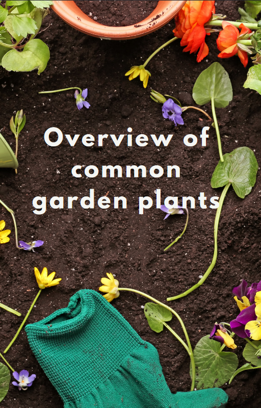 Common Garden Plants