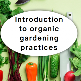 Organic Gardening Basics