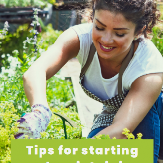 Basic Gardening Tips
