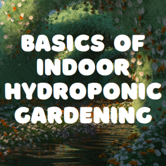 Basics of Indoor Hydroponic Gardening