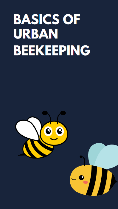 Basics of Urban Beekeeping