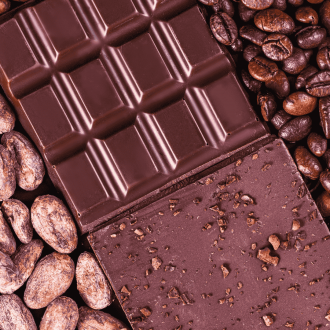 The Art of Chocolate From Bean to Bar