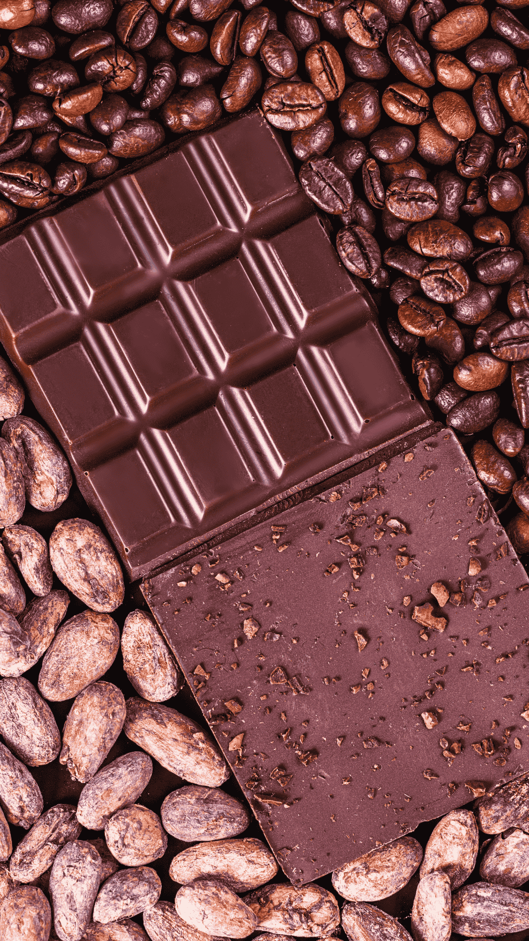 The Art of Chocolate From Bean to Bar