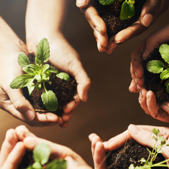 Sustainability and Green Living