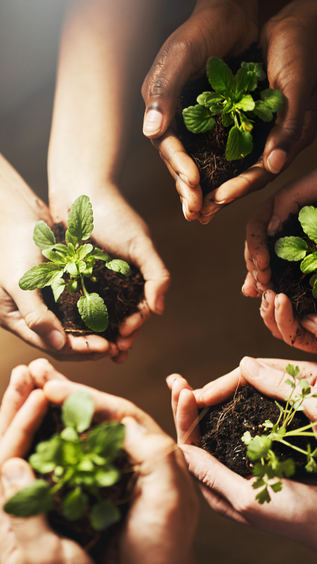 Sustainability and Green Living