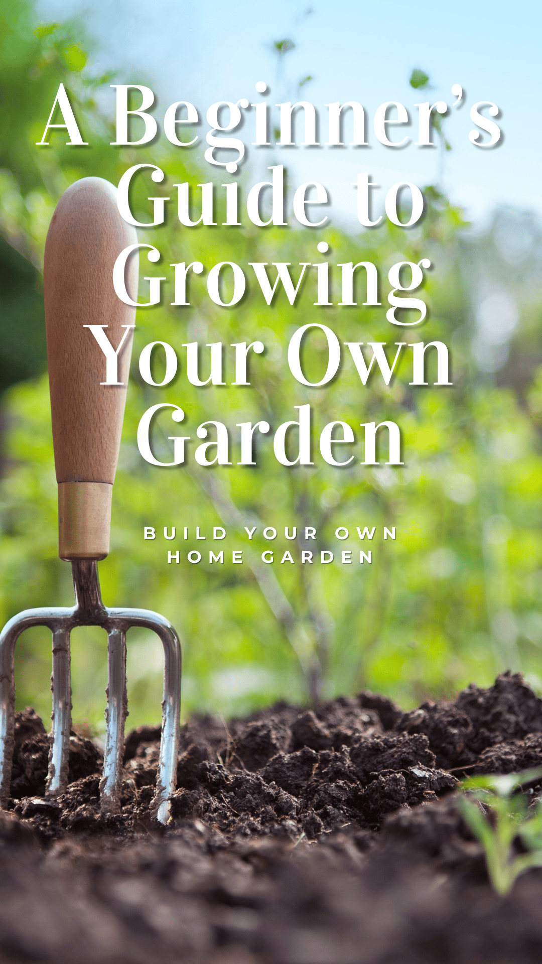 A Beginner’s Guide to Growing Your Own Garden