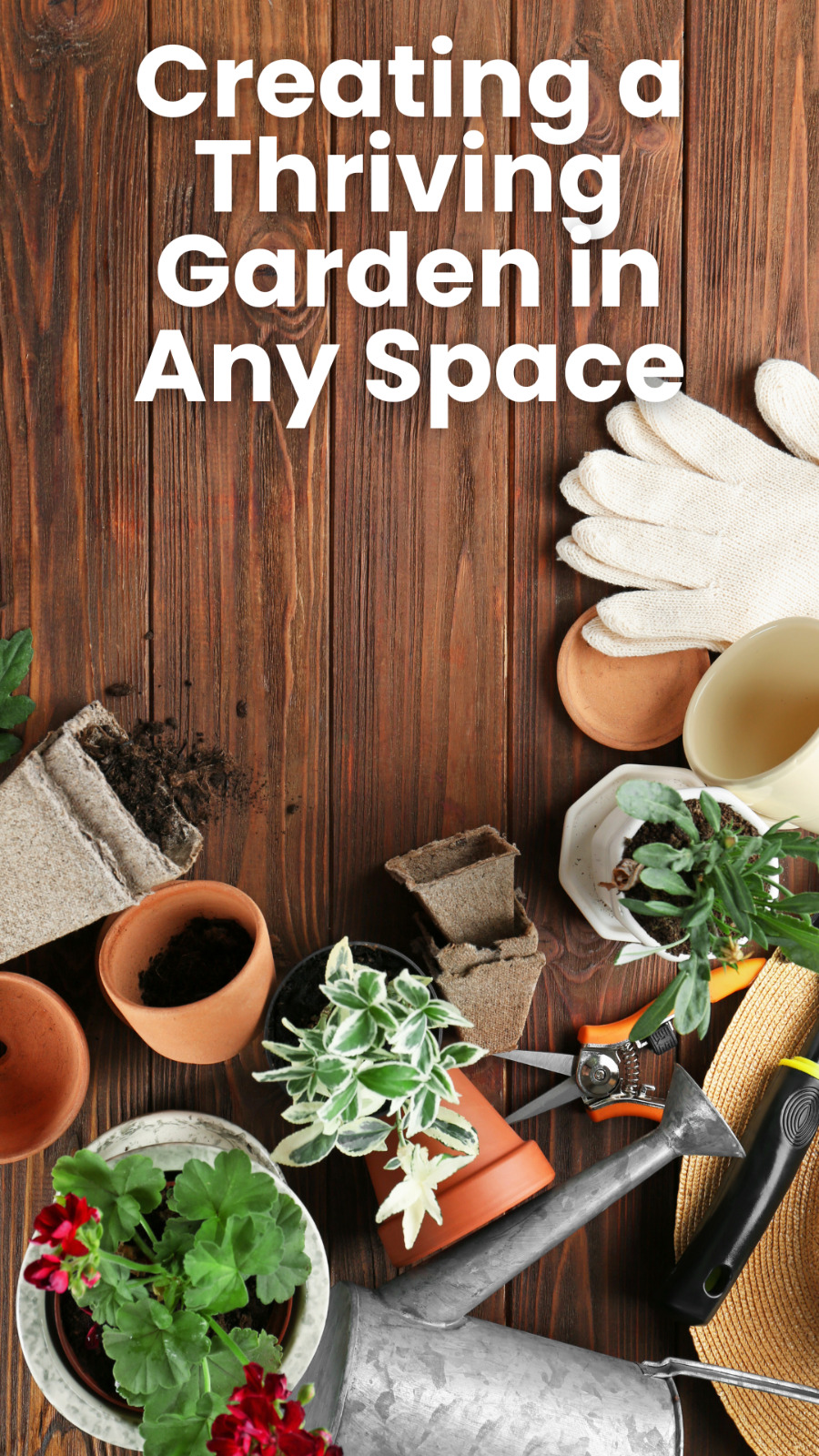 Creating a Thriving Garden in Any Space