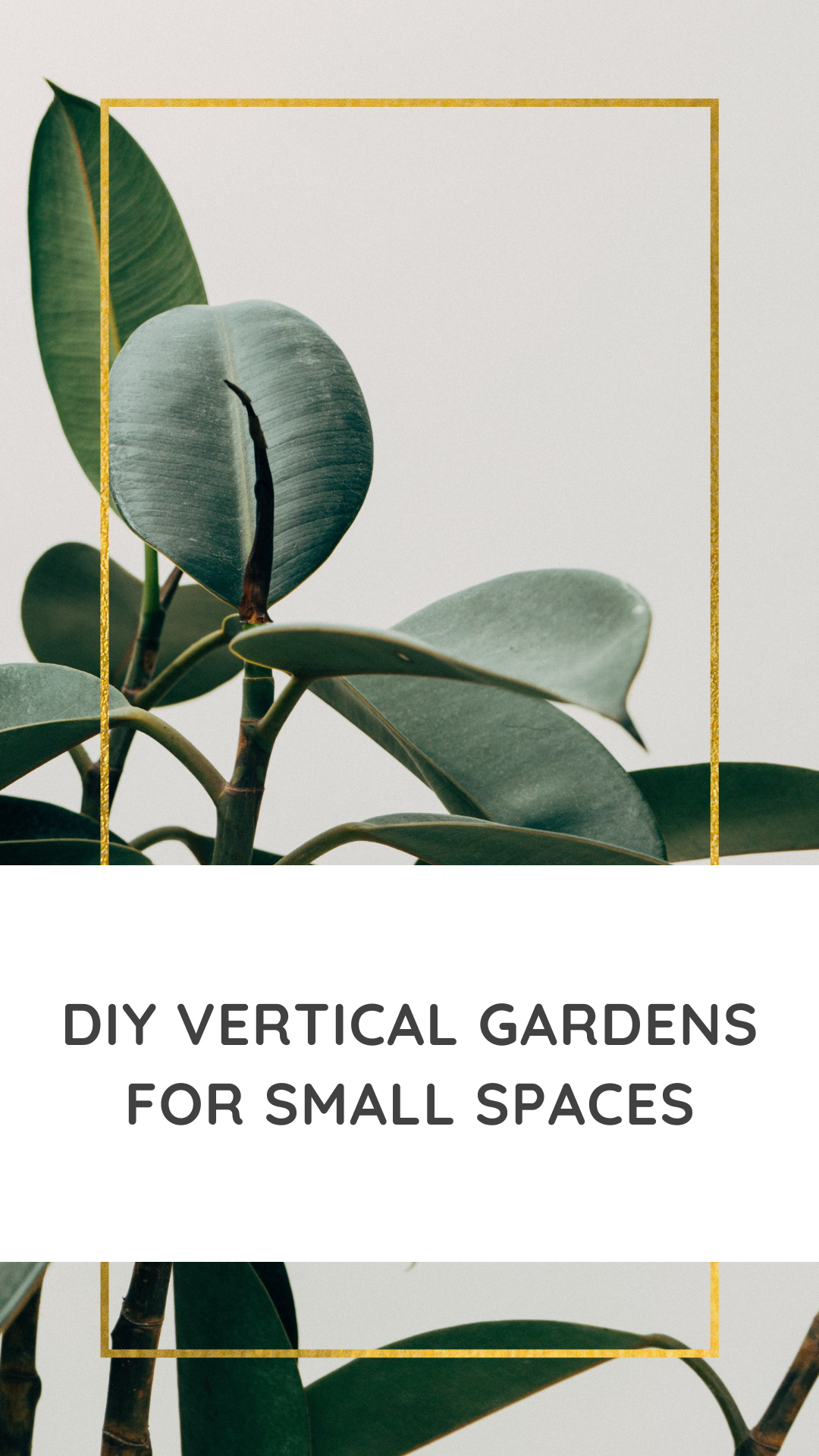DIY Vertical Gardens for Small Spaces