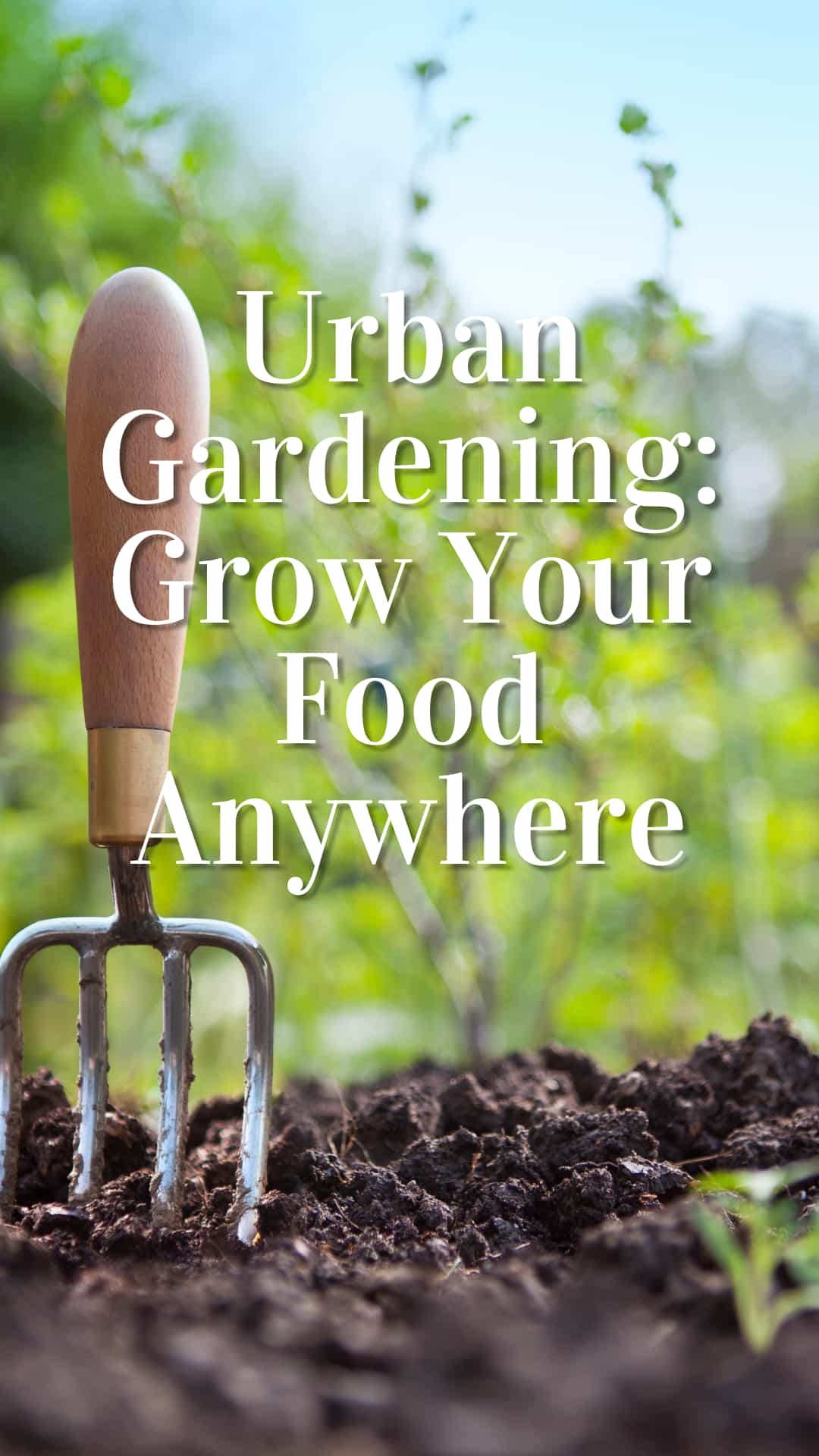 Urban Gardening Grow Your Food Anywhere