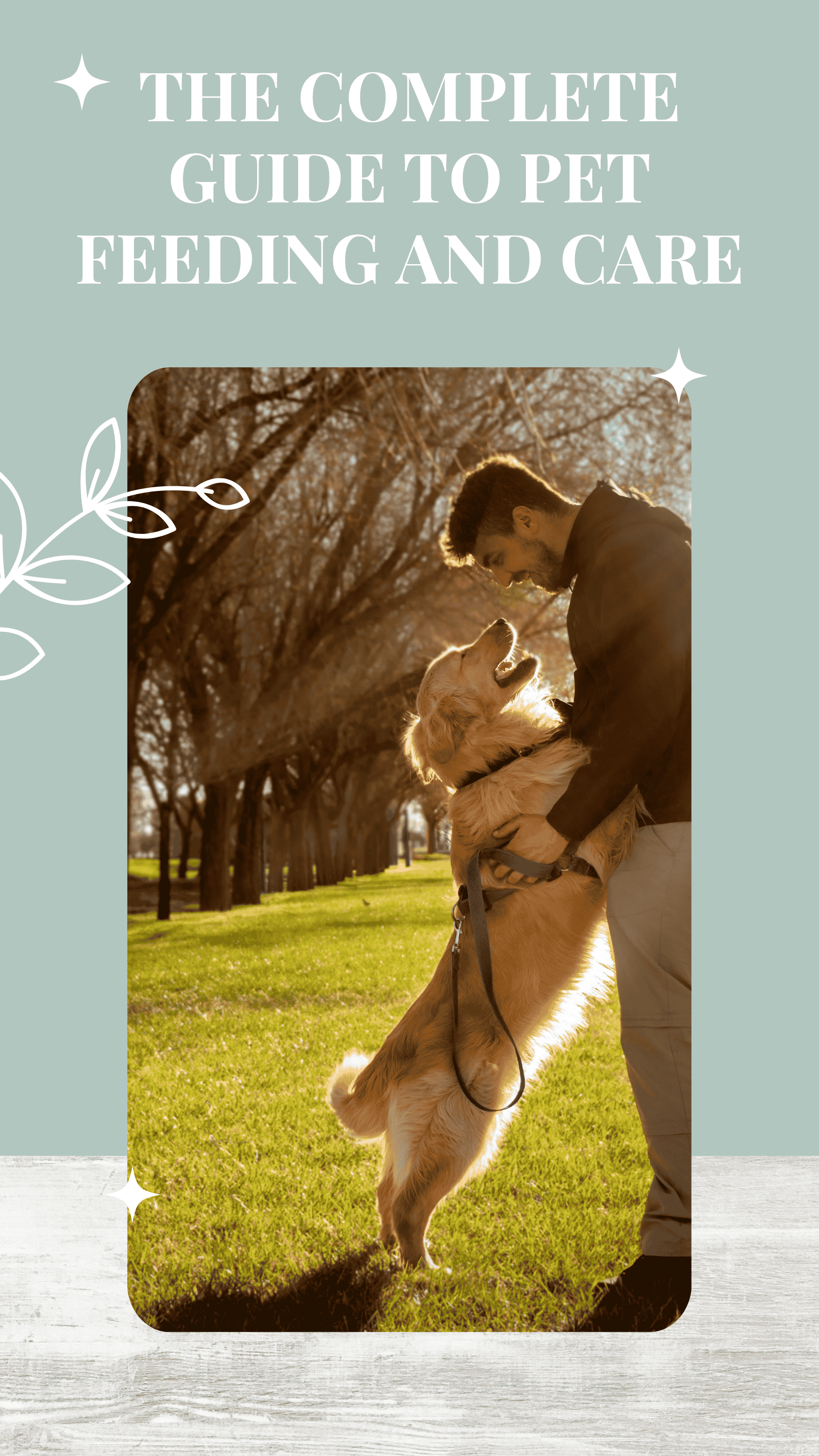 The Complete Guide to Pet Feeding and Care