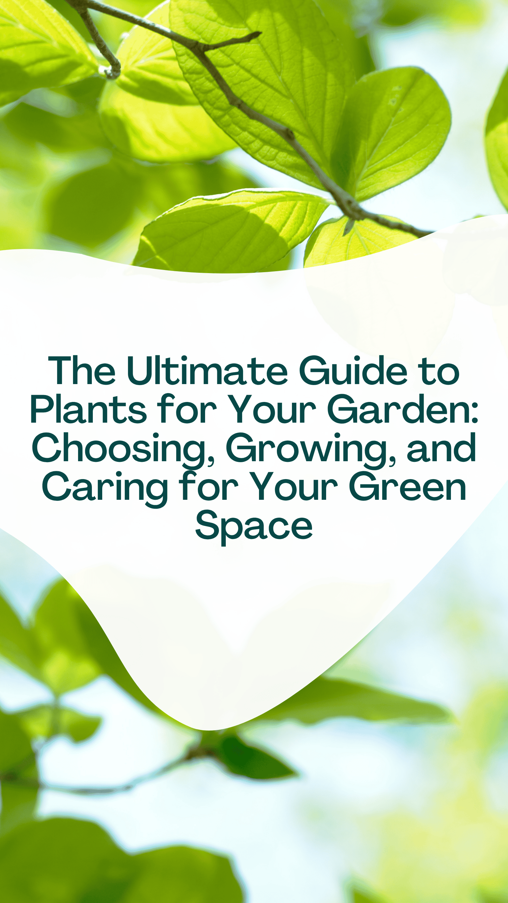 The Ultimate Guide to Plants for Your Garden: Choosing, Growing, and Caring for Your Green Space